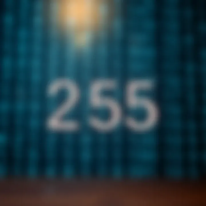 Visual comparison between decimal and binary numeral systems highlighting the decimal number two hundred fifty-five