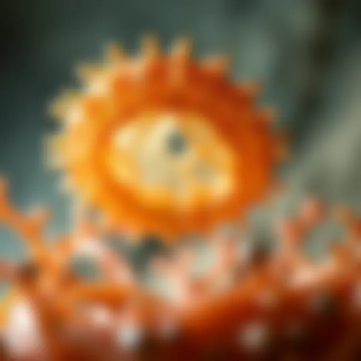 Visual comparison between binary fission in amoeba and other reproductive methods