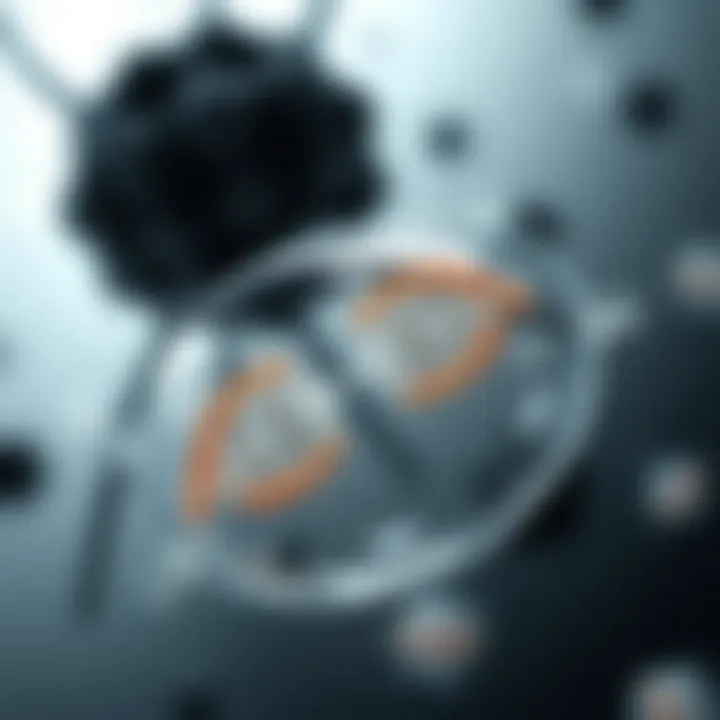 Diagram illustrating binary fission in a bacterial cell showing DNA replication and cell division