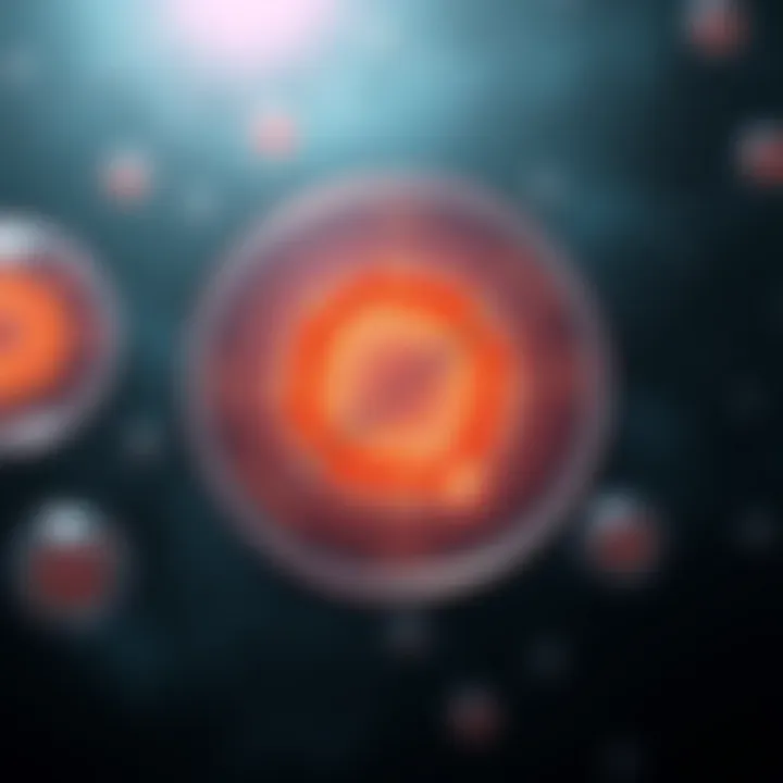 Diagram illustrating the stages of binary fission in a single-celled organism with DNA replication and cell division