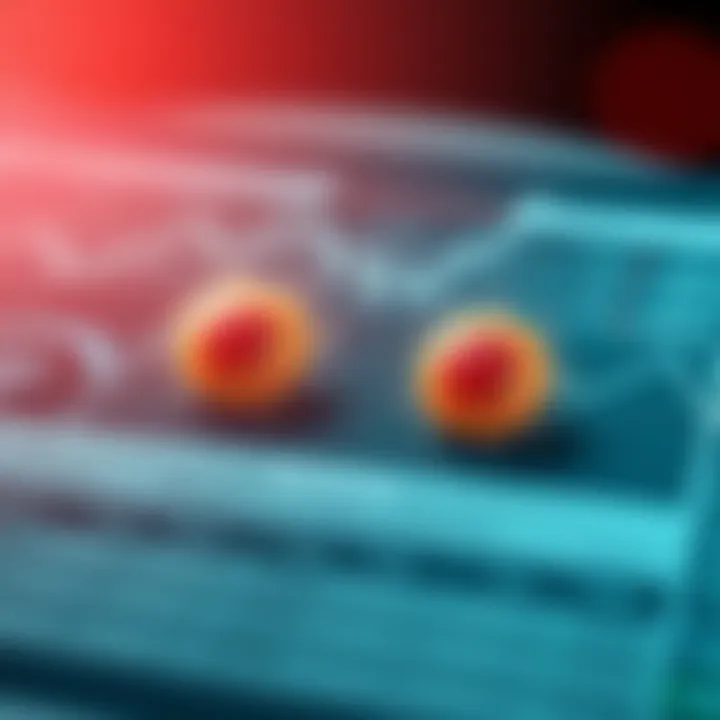 Differences Between Binary Fission and Mitosis Comparison chart highlighting differences between binary fission and mitosis as methods of cell division