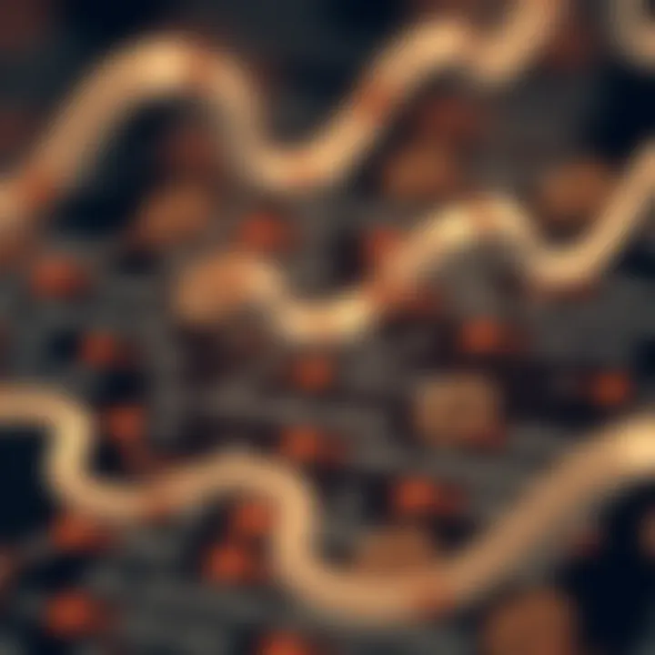 Diagram illustrating the structure and connection of a binary relation between two sets