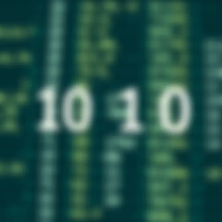 Understanding Binary to Decimal Conversion
