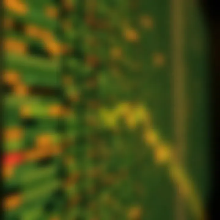 Binary Search Algorithm Applied to Sorted Data Visual representation of binary search algorithm working efficiently on a sorted dataset