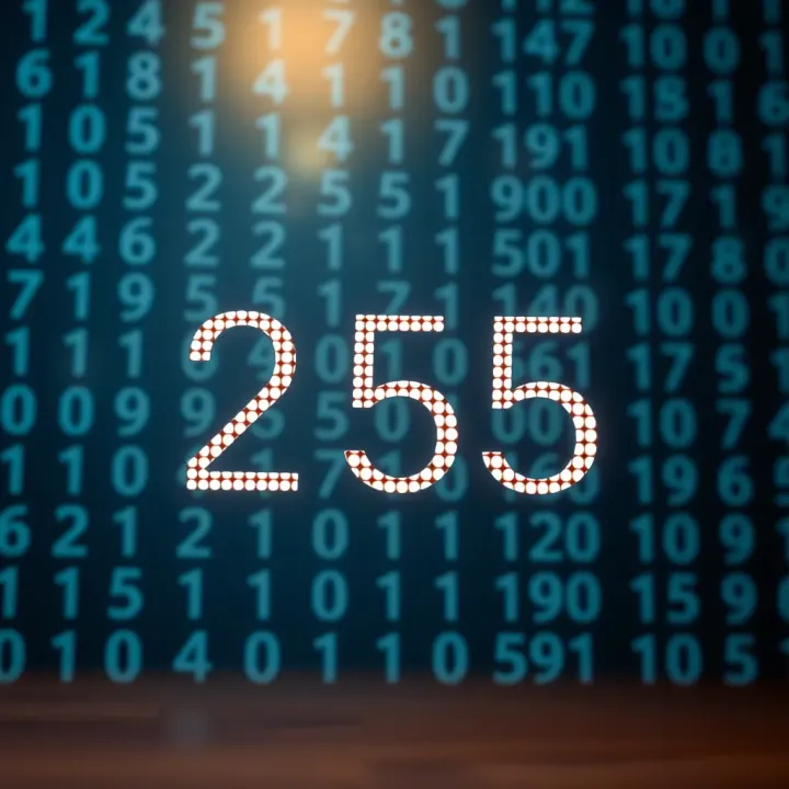 Binary Representation of 255 Explained